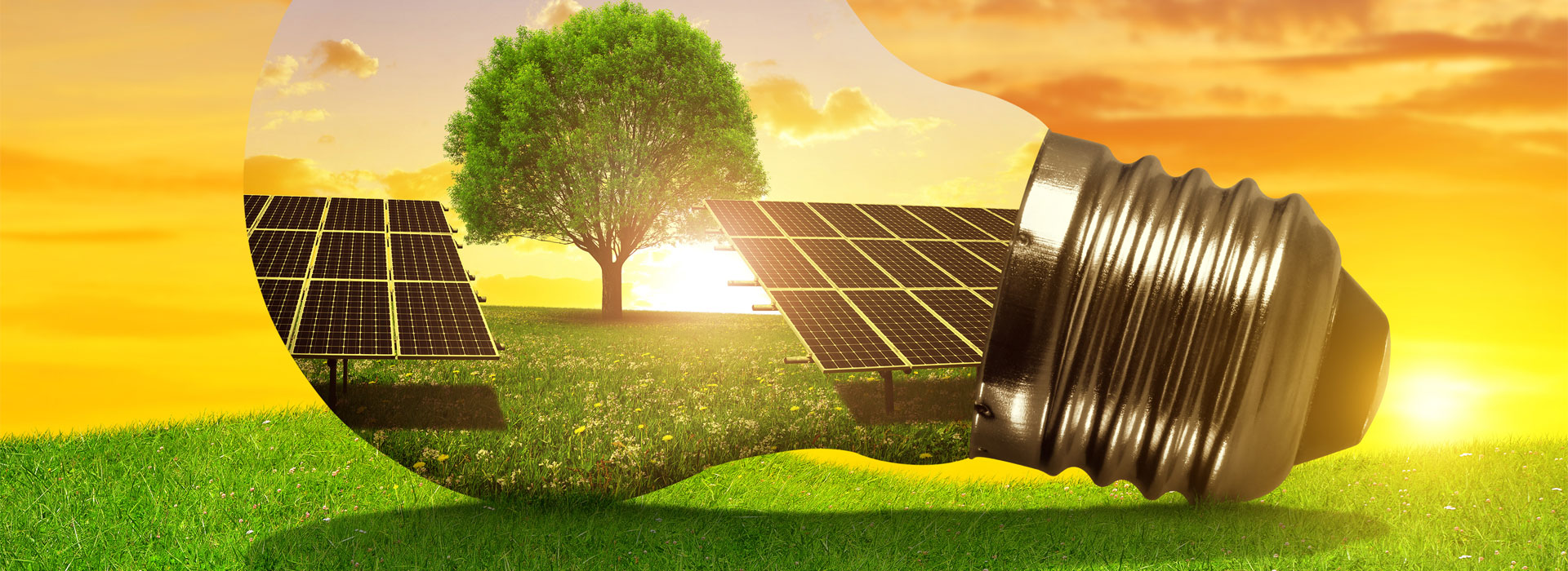 Die Zukunft ist sonnig und hell!